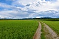 Country road and fields at Sorsko Polje