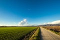 Country road through the fields