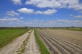 A country road among the fields