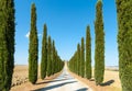 Country road flanked with cypresses ascending a hi Royalty Free Stock Photo