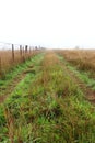 Country road on a foggy morning beside a farm fence