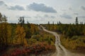 Country road through the forest