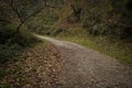 A country road in the forest next to Pena Village