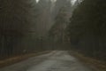 Country road through the forest in overcast day Royalty Free Stock Photo