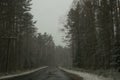 Country road through the forest in overcast day Royalty Free Stock Photo