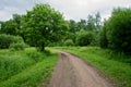 Country road in forest Royalty Free Stock Photo