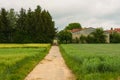 Country road going between green fields. Cloudy day in the village. Farmhouse on the edge of the fields. The field road leads to Royalty Free Stock Photo