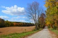 Country road & golden field on a sunny Autumn day Royalty Free Stock Photo