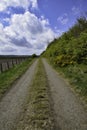 Country road with grass growing in the middle, hedgerow and fence to field Royalty Free Stock Photo