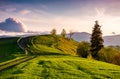 Country road through grassy hill at sunset Royalty Free Stock Photo