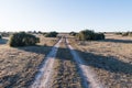 Country road in a great plain landscape