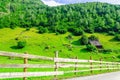 Country road and green alpine meadows in Austria