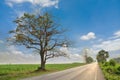 Country road and green farmland landscape in spring season Royalty Free Stock Photo