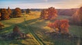 Country road on green fields. Sunny aerial panorama, Belarus. Landscape with cork oaks Royalty Free Stock Photo