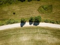 country road in green forest and fields drone aerial image