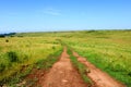 Country road, green grass,meadow, blue sky on a summer day Royalty Free Stock Photo