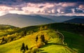 Country road through green rolling hills at sunset Royalty Free Stock Photo