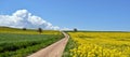 Country road between green and yellow fields Royalty Free Stock Photo