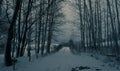 Country road during heavy snowfall