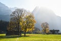 Country road with Hikers in Bavaria, Germany