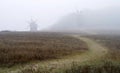 Country road on a hill in the middle of a field with windmills Royalty Free Stock Photo