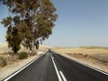 Country Road, Jerez, Andalusia, Spain