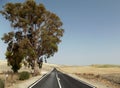 Country Road, Jerez, Andalusia, Spain