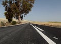 Country Road, Jerez, Andalusia, Spain