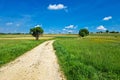 Country road in Kalnik agricultural landscape Royalty Free Stock Photo