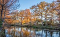 Autumn in Texas - country road