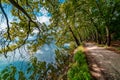 Country Road by the Lake... Beautiful Magical Nature Scene