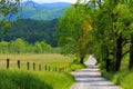 Country road landscape