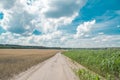 Country road landscape Royalty Free Stock Photo