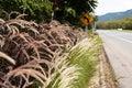 Country Road Landscape In Summer Royalty Free Stock Photo