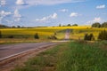 Country Road Landscape In Summer. Royalty Free Stock Photo