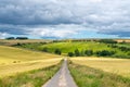 Country Road leading into the distance Royalty Free Stock Photo