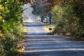 Country road and mailboxes on fall day Royalty Free Stock Photo