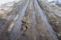 Country road with melting snow Royalty Free Stock Photo