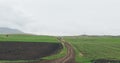 Country road in the middle of fields