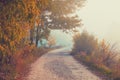 Country road in the misty morning Royalty Free Stock Photo