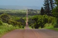 Country Road on Molokai