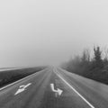 Country road in morning fog Royalty Free Stock Photo