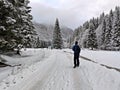 Country road in the mountains during wintertime. Hiker in the forest Royalty Free Stock Photo