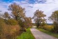 Country road in the Murnauer Moos bog in Bavaria