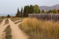 Country road near the shore of the lake. Royalty Free Stock Photo