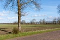 Country road in the Netherlands with farmland