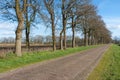 Country road in the Netherlands with farmland