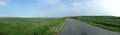 Country road panorama Royalty Free Stock Photo
