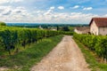 Country road passing through vineyards of Saint Emilion, Bordeaux. Wineyards in France. Old building in small village Royalty Free Stock Photo