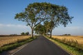 Country road passing through wheat fields. Royalty Free Stock Photo